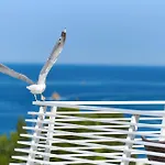 Hotel Albatros Plava Laguna Poreč
