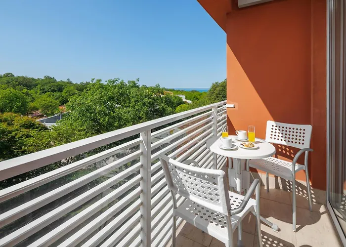 Albatros Plava Laguna