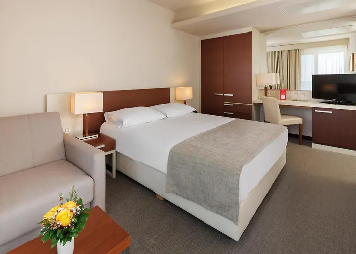 Albatros Plava Laguna