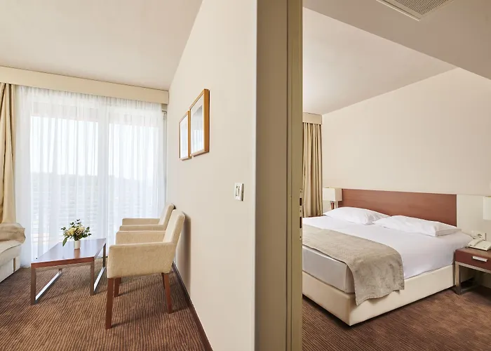 Albatros Plava Laguna