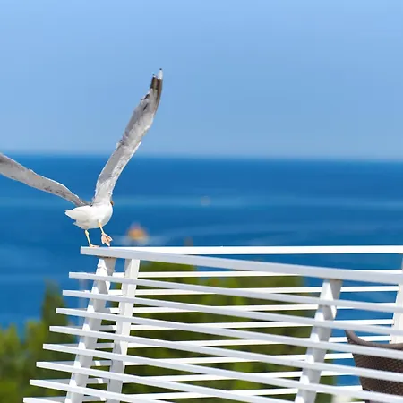 Hotel Albatros Plava Laguna Poreč