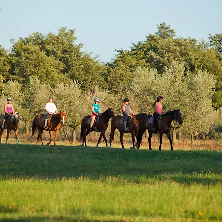 Ξενοδοχείο Albatros Plava Laguna