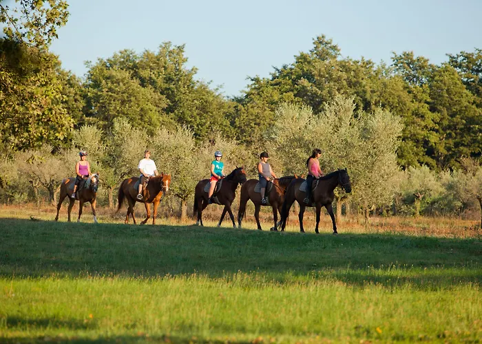 Szálloda Albatros Plava Laguna